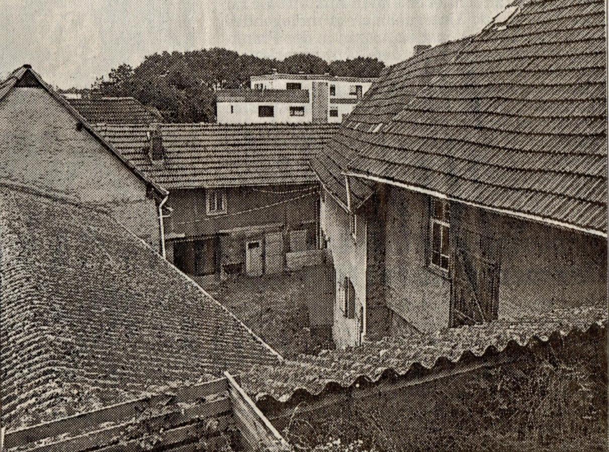 Geibelhof Apartamento Karben Exterior foto